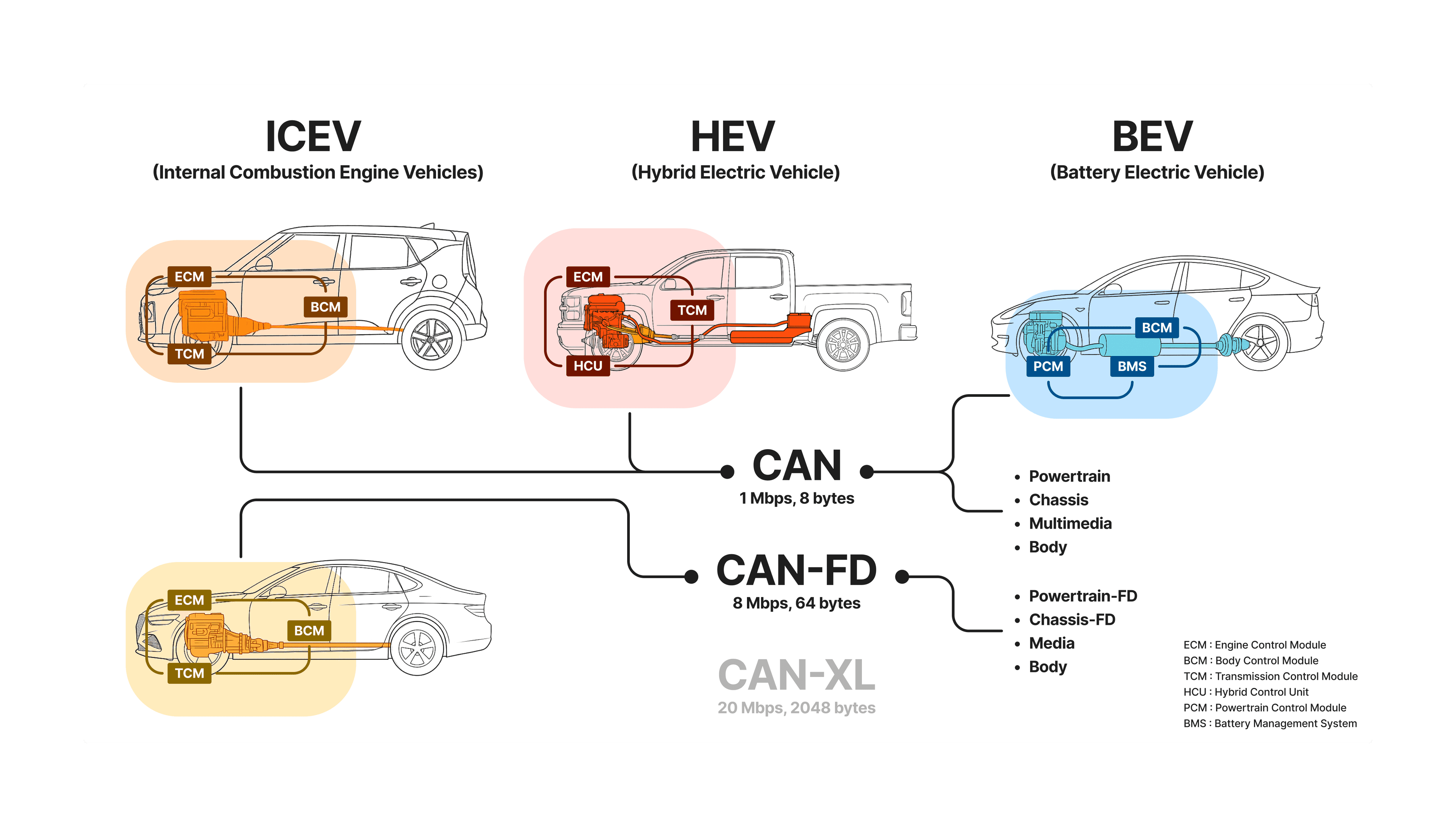 Universal AI-Based Intrusion Detection System for In-Vehicle Networks